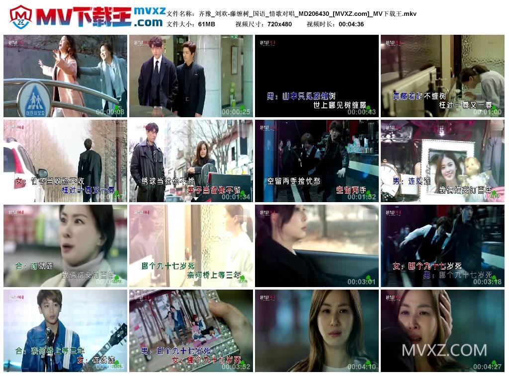 齐豫_刘欢-藤缠树_国语_情歌对唱_MD206430